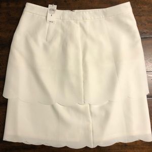 NWT- Ann Taylor Skirt